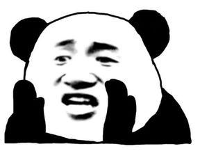 学友 表情包,趣味横生的网络文化现象