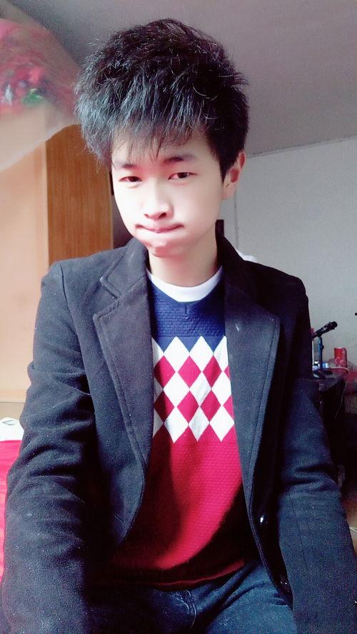 雷雄个人资料,科技领域的璀璨新星，创新与成就的完美结合