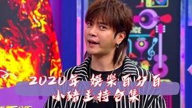 娱乐百分百 主持人,揭秘幕后故事与精彩瞬间