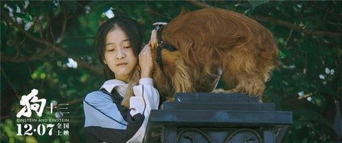 狗十三 演员,亲情与成长的蜕变之旅